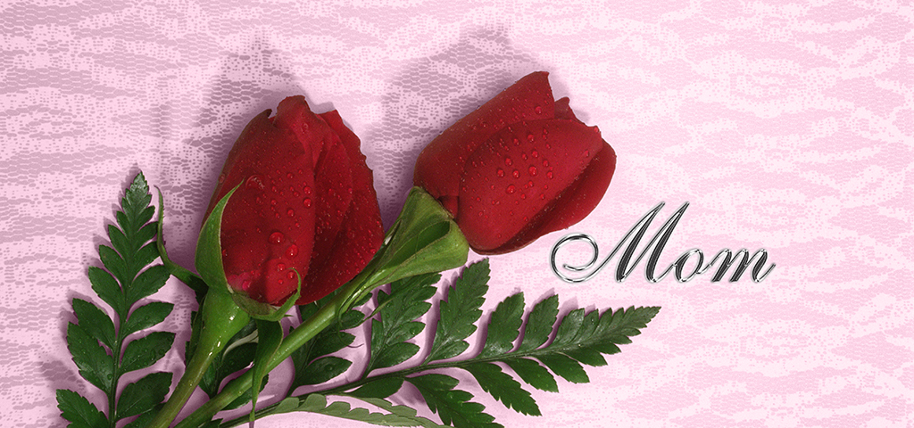 2 Red Roses Pink Lace Mom Silver PROOF